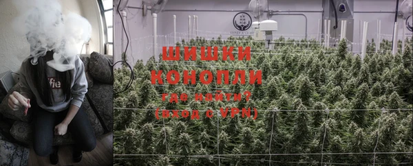 тгк Кукмор