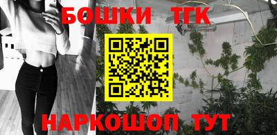 прущие грибы Абакан