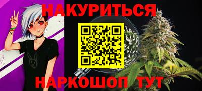 прущие грибы Абакан