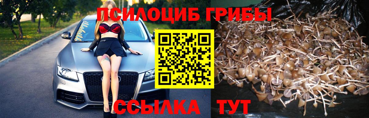 Галлюциногенные грибы MAGIC MUSHROOMS Славянск-на-Кубани