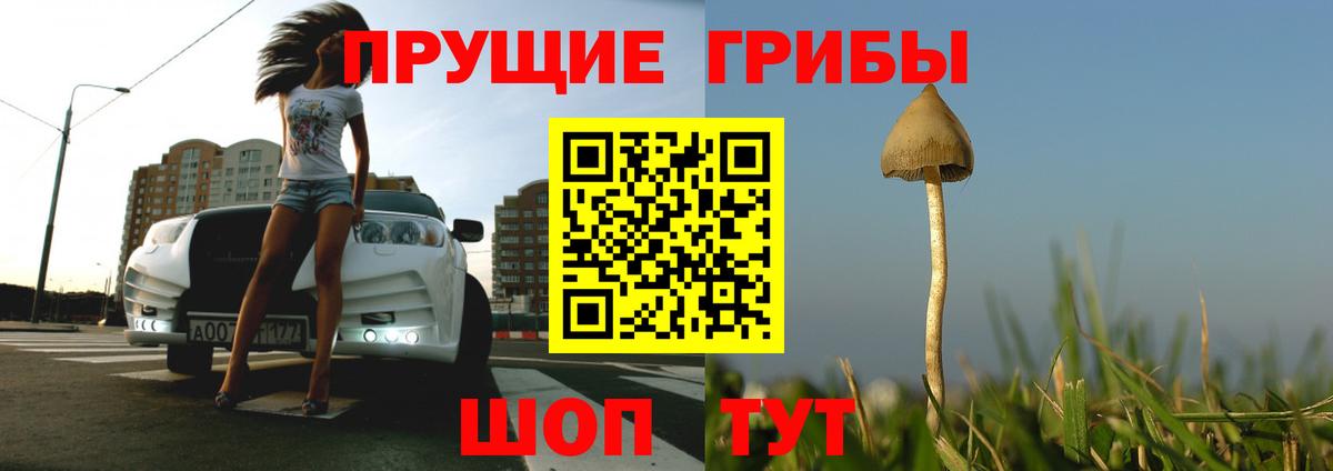 Галлюциногенные грибы мицелий  Галлюциногенные грибы Psilocybine cubensis  Славянск-на-Кубани 